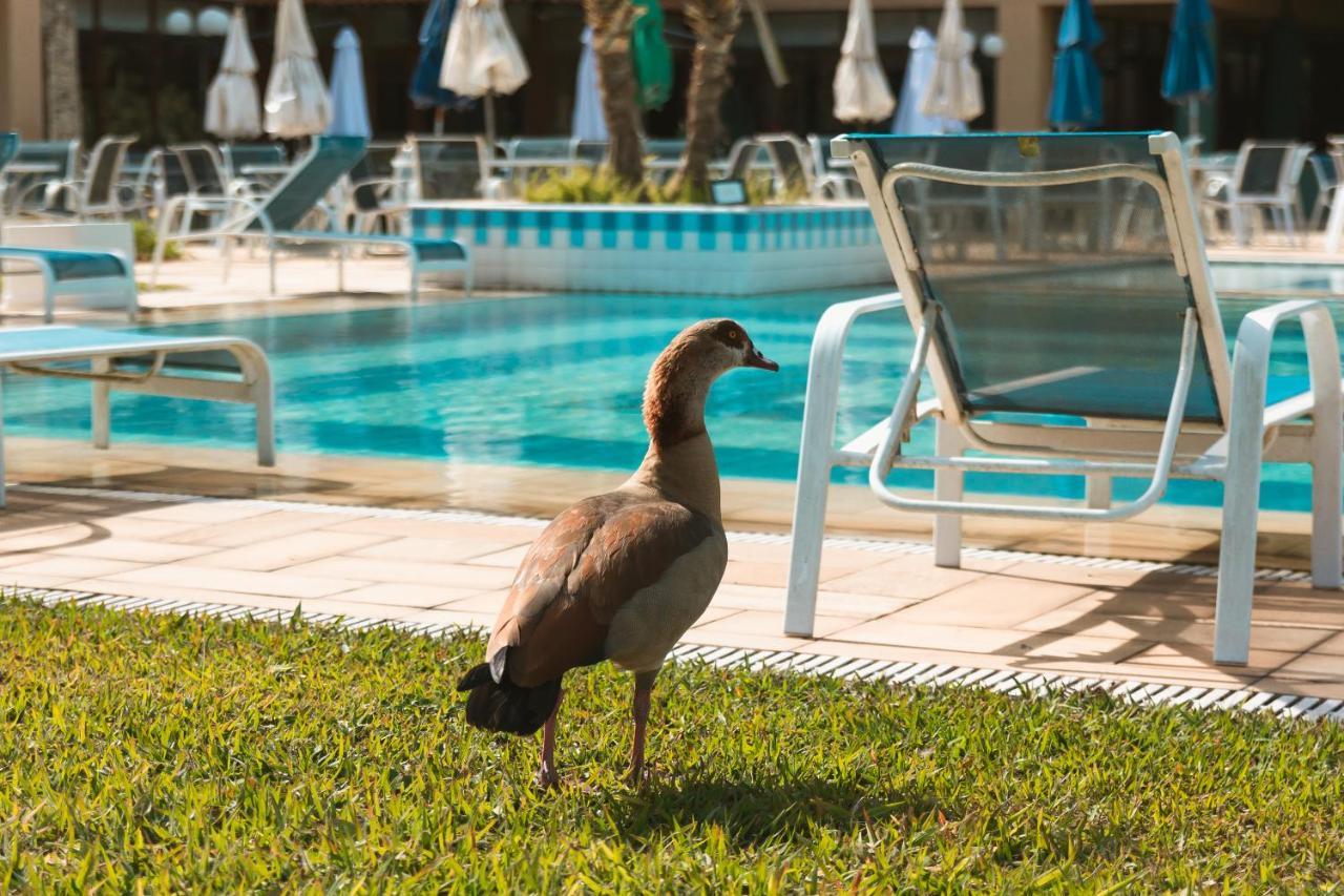 Villa Itaipava Resort & Conventions Luaran gambar